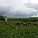 Cuba_2011_ontvangen_010_Secundino