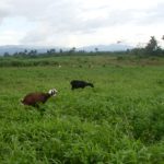 Cuba_2011_ontvangen_011_Secundino