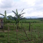 Cuba_2011_ontvangen_012_Secundino