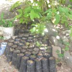 Cuba_2011_ontvangen_015_Vivero