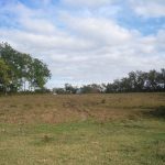 Cuba_Marcelo_004_Landbouw