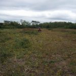 Cuba_Marcelo_020_Tractor