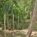 Cuba_Marcelo_021_Vee