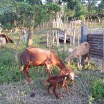 Cuba_Marcelo_022_Vee