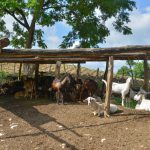 Cuba_Marcelo_023_Vee