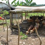 Cuba_Marcelo_024_Vee