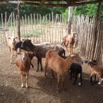 Cuba_Marcelo_025_Vee