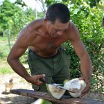 La_Ventura_Kokosnoot_008