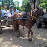 La_Ventura_Vervoer_004